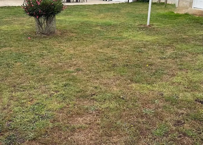 Tatil Evi Kaz Bohem'